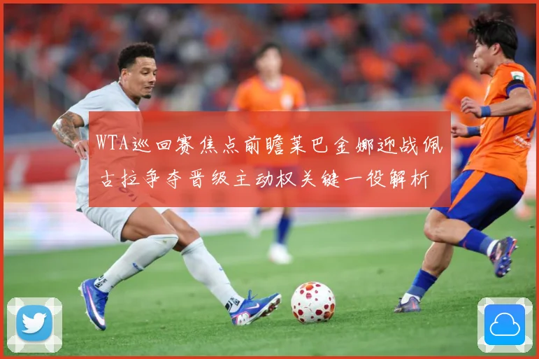 WTA巡回赛焦点前瞻莱巴金娜迎战佩古拉争夺晋级主动权关键一役解析-深度解析
