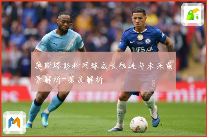 奥斯塔彭科网球成长轨迹与未来前景解析-深度解析
