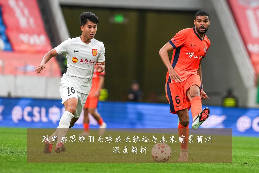 冠军郑思维羽毛球成长轨迹与未来前景解析-深度解析