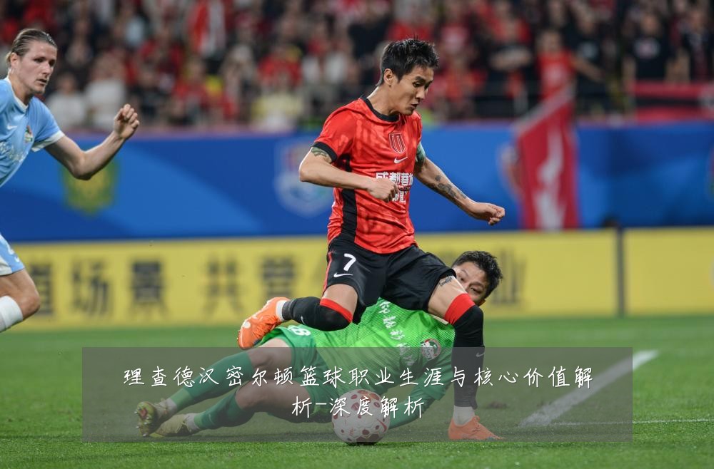 理查德汉密尔顿篮球职业生涯与核心价值解析-深度解析